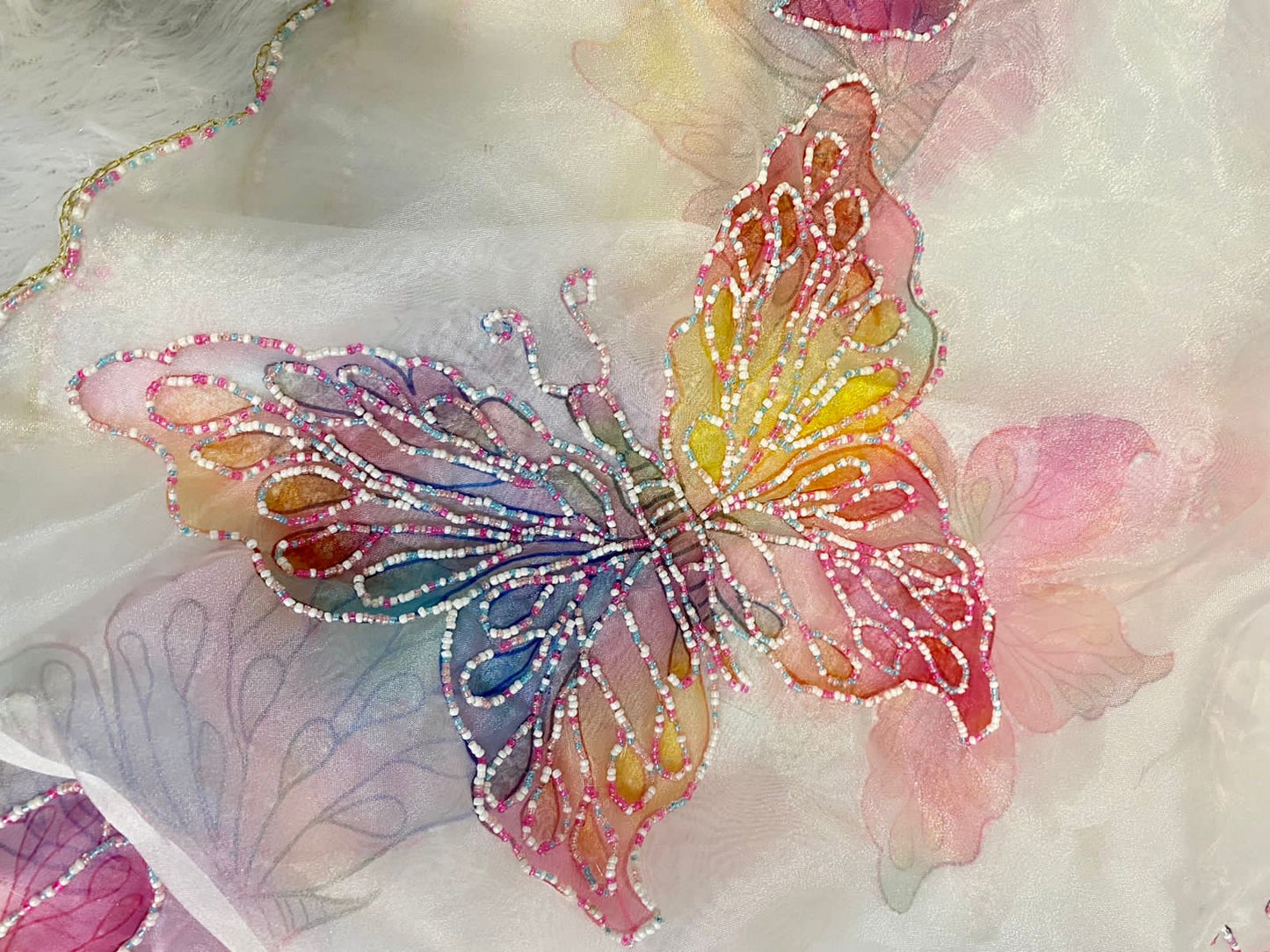 Butterfly organza Saree