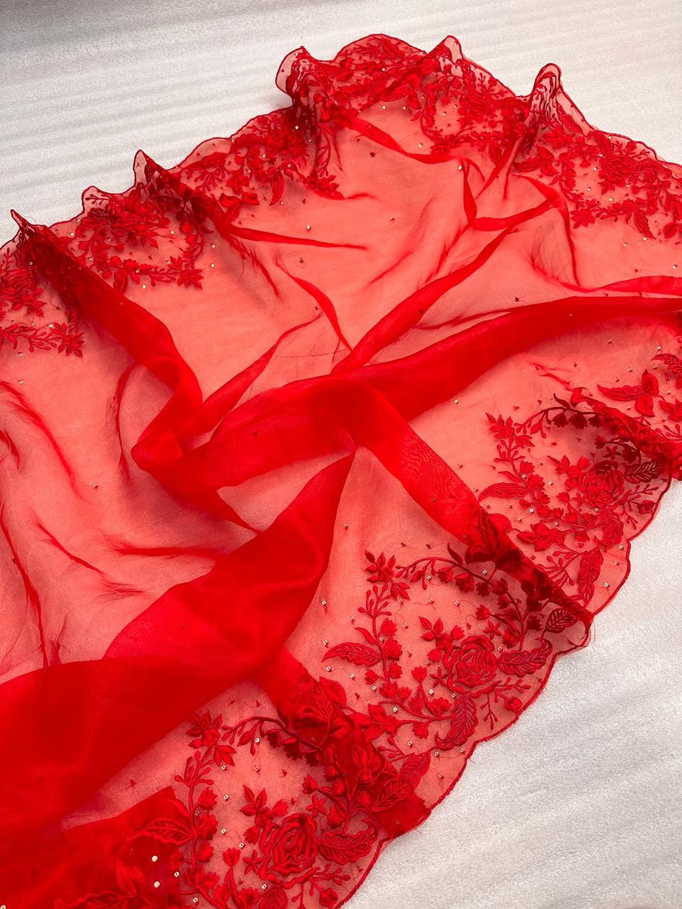 Organza Saree with thread and sequins work