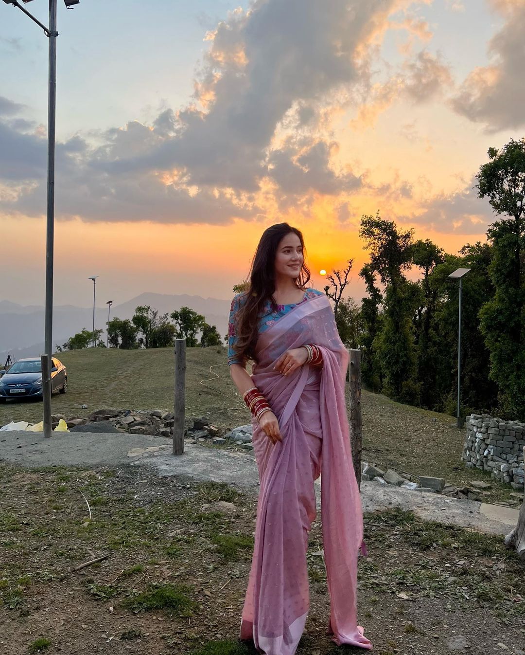 Chiffon saree with Kalamkari blouse