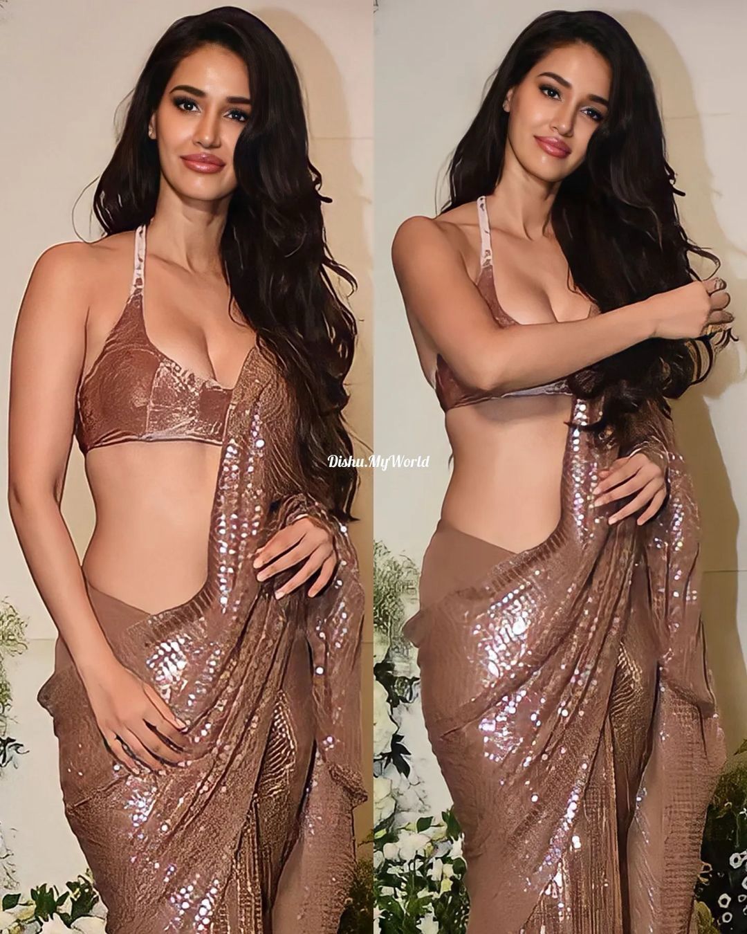 Disha patani Inspired Brown sequins saree